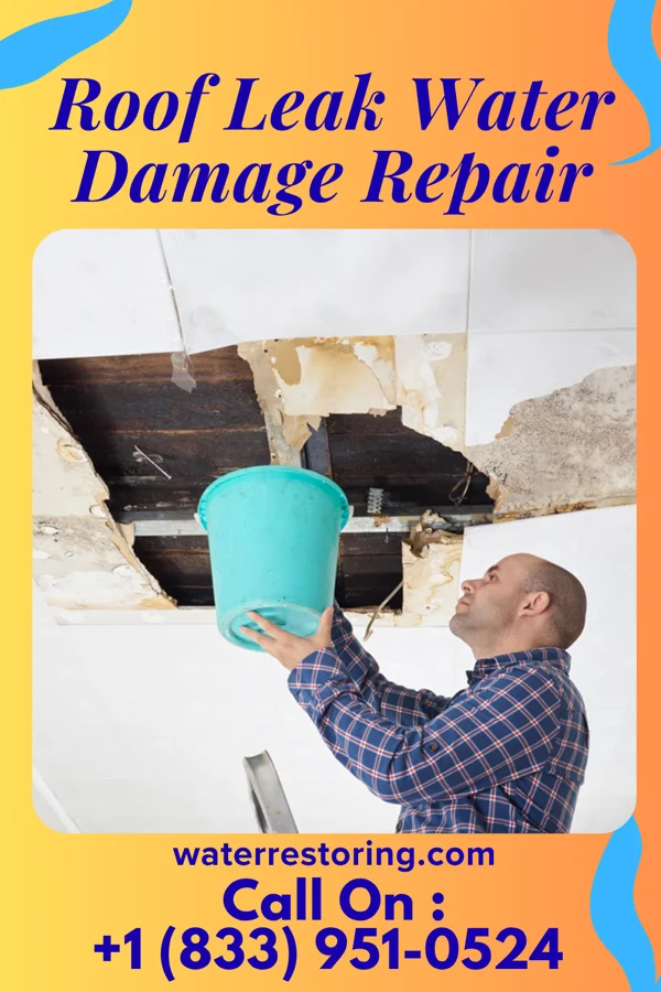 Roof Leak Water Damage Repair in Enumclaw, WA